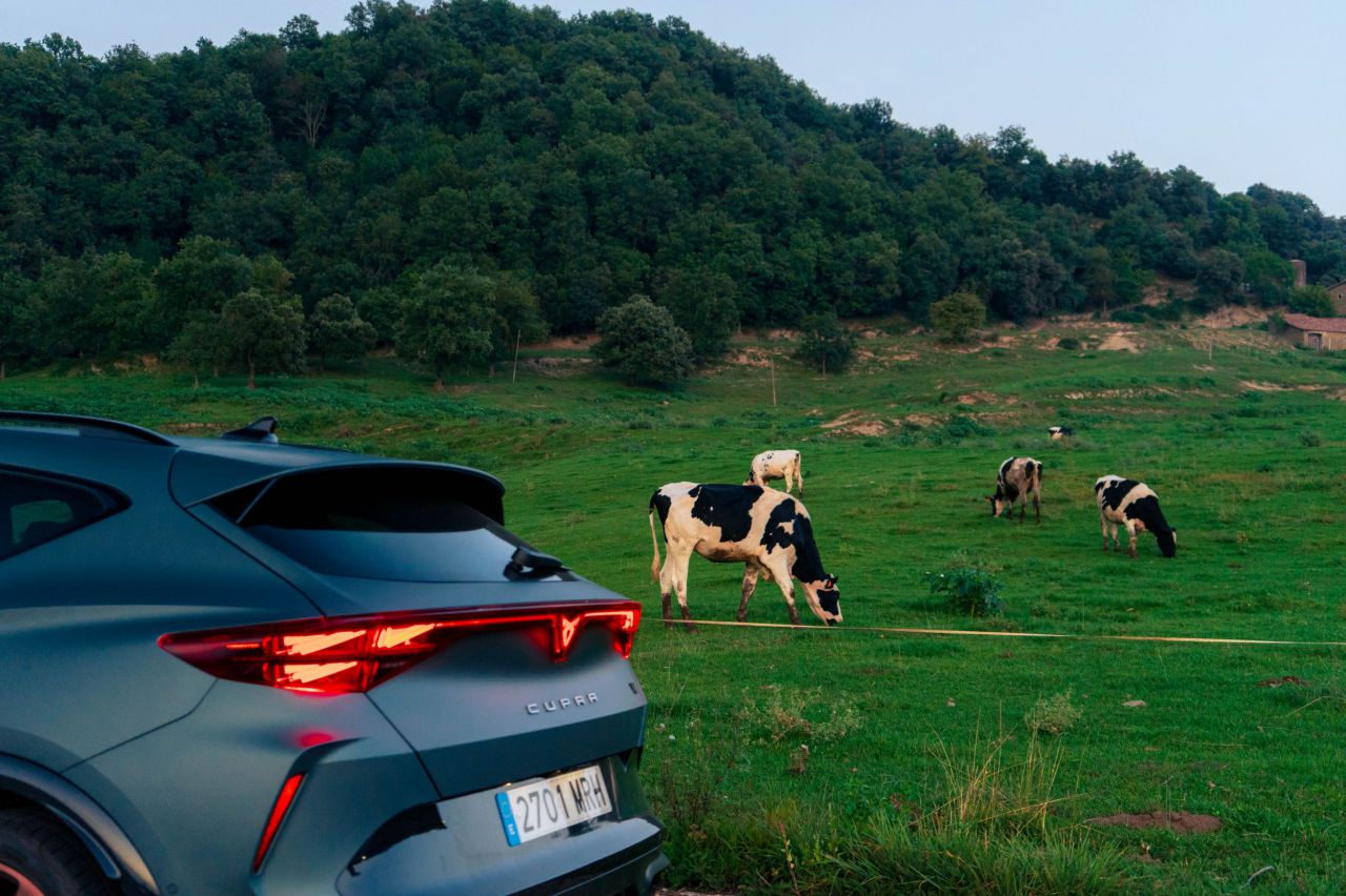 Prueba Cupra Formentor VZ: el último bastión de combustión en el segmento C deportivo