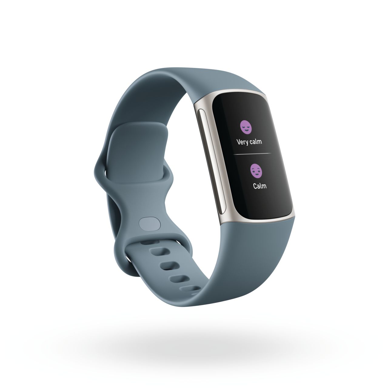 Fitbit Charge 5