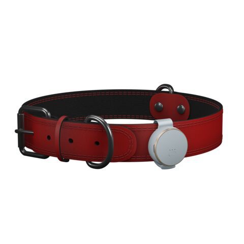 Vodafone Curve Pet Tracker Clip 
