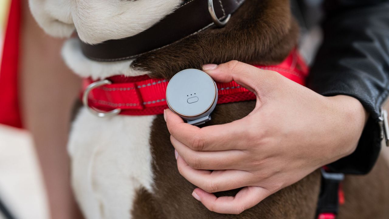 Vodafone Curve Pet Tracker Clip 