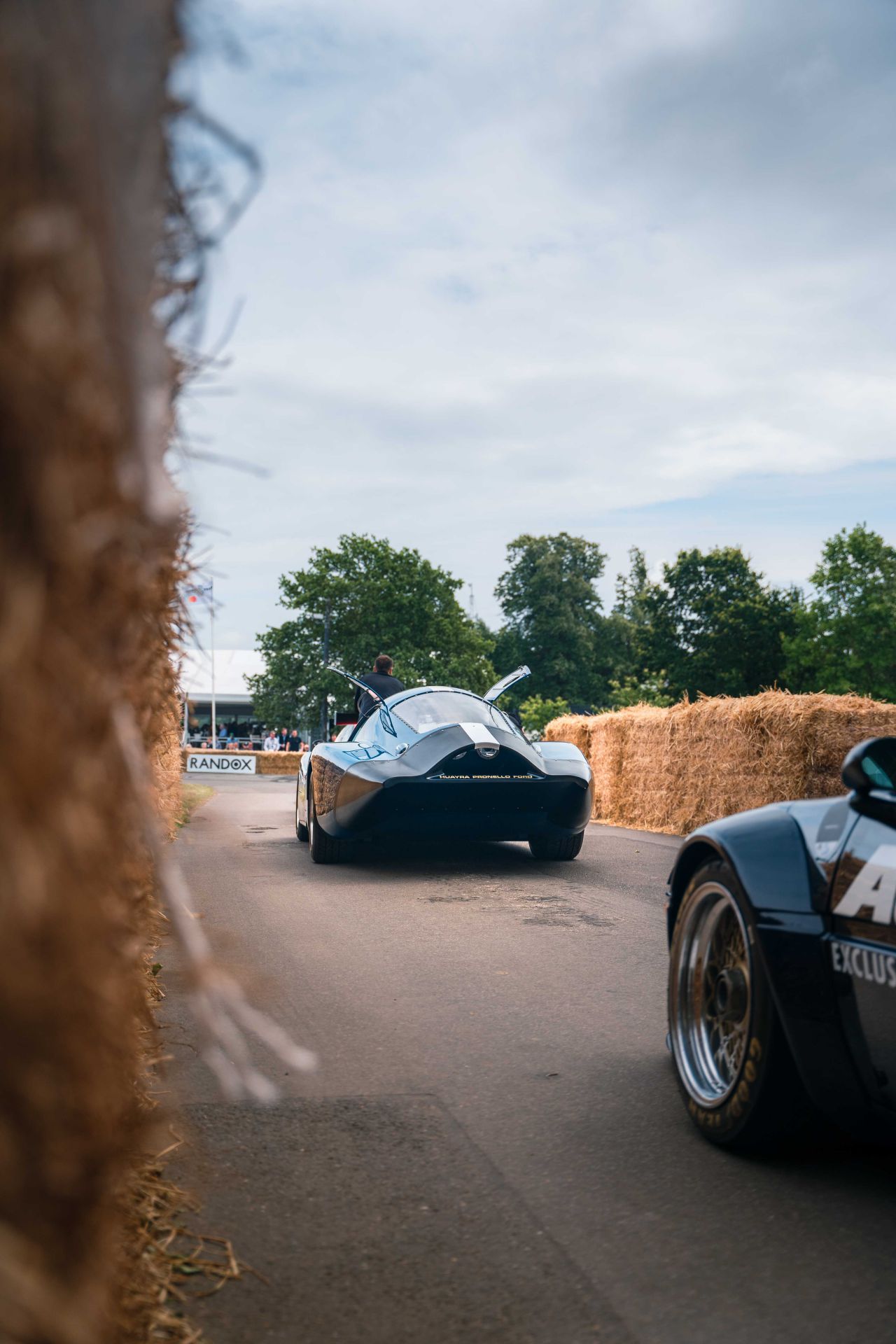 Huayra Pronello-Ford