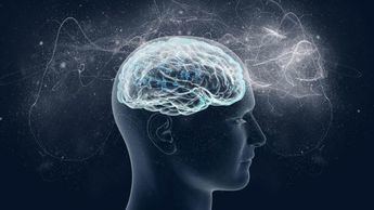 De qué es capaz el cerebro humano