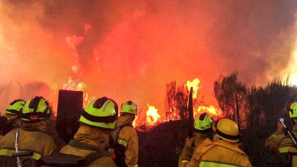 Las BRIF del Ministerio de Agricultura en primera línea de fuego en Castrocontrigo.