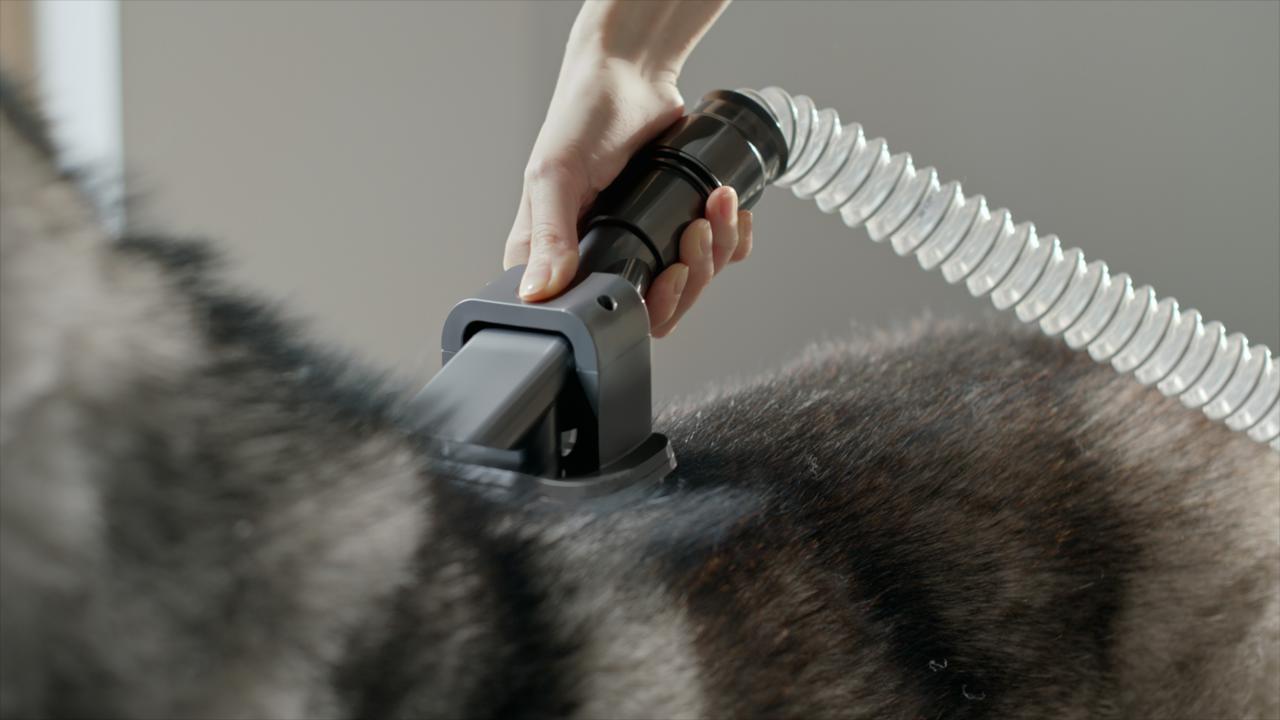 Dyson pone solución a los deshechos de pelo en el hogar con su nueva tecnología anti-enredo