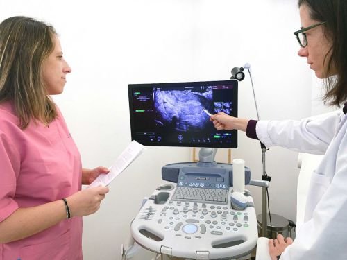 La Dra. Ángela Llaneza revisando una ecografía endometrial