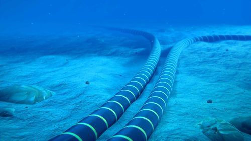 Europa y Japón buscan rutas alternativas de cables submarinos lejos de Rusia