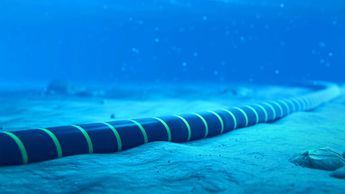 Orange, Canalink y otros operadores construirán Via Africa, un cable submarino para conectar África y Europa