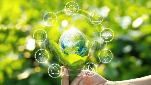 Adigital lanza la primera certificación climática para empresas digitales en España