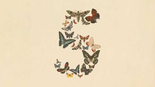Anthropic presenta Claude Fable 5 y Mythos 5, sus modelos de IA más avanzados hasta la fecha