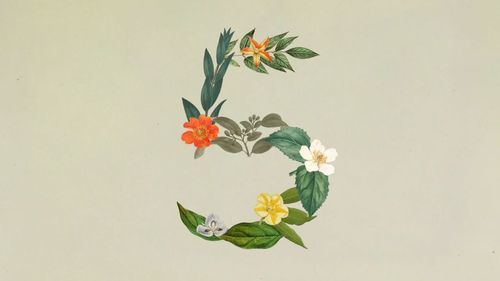 Anthropic presenta Claude Sonnet 5, su nuevo modelo de IA más autónomo y eficiente hasta la fecha