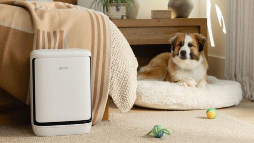 Levoit lanza Vital Pet Pro, un purificador de aire inteligente pensado para hogares con mascotas