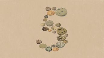 Anthropic presenta Claude Opus 5: más potente, más eficiente y con un coste muy inferior al de Fable 5