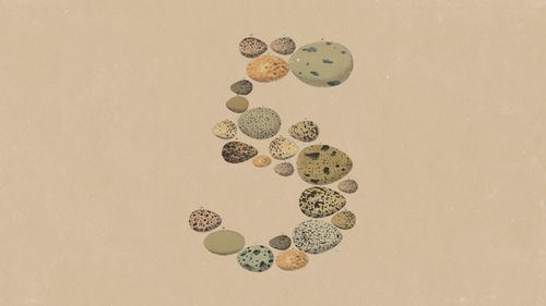 Anthropic presenta Claude Opus 5: más potente, más eficiente y con un coste muy inferior al de Fable 5