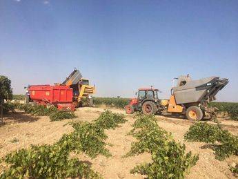 Telefónica impulsará la digitalización del sector agrícola