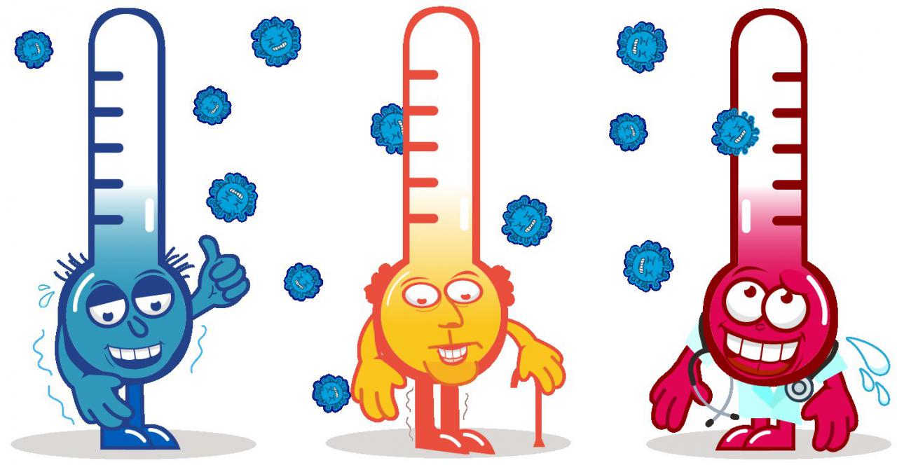 Nace el Gripómetro, la web para conocer de cerca todos los datos sobre la vacunación española