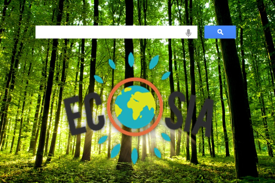 Ecosia: el navegador en el que una búsqueda supone la plantación de un árbol