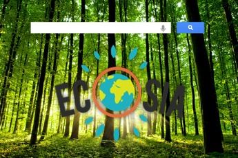 Ecosia: el navegador en el que una búsqueda supone la plantación de un árbol