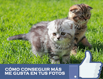Técnicas para lograr la foto perfecta y ganar más ´Me Gusta´ en Facebook