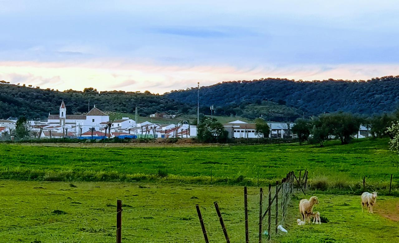 El gobierno destina 130 MM de euros para cubrir las zonas blancas