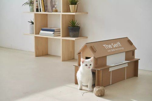 La caja de la nueva TV de Samsung es un buen regalo para tu gato