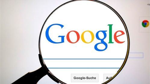 ¿Qué hemos buscado este año en Google?