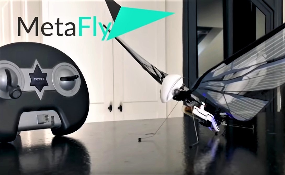 Metafly, el insecto que vuela con control remoto