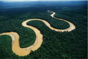 Selva del Amazonas