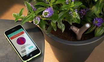 Parrot Flower Power, tu jardinero virtual