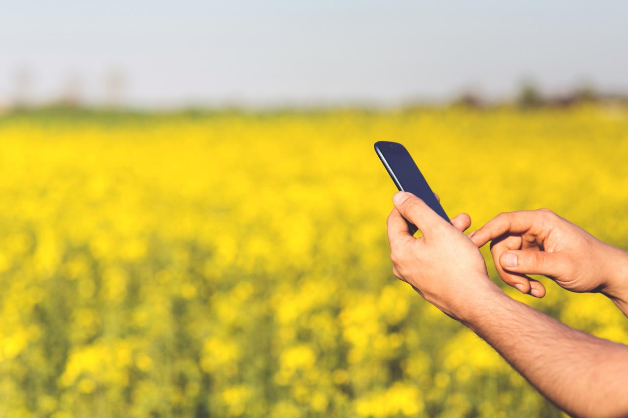 Salen a la luz 5 apps que te ayudarán a controlar la alergia