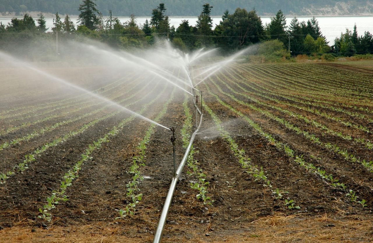 El 75% de los agricultores españoles optimizará su tecnología de regadío durante los dos próximos años