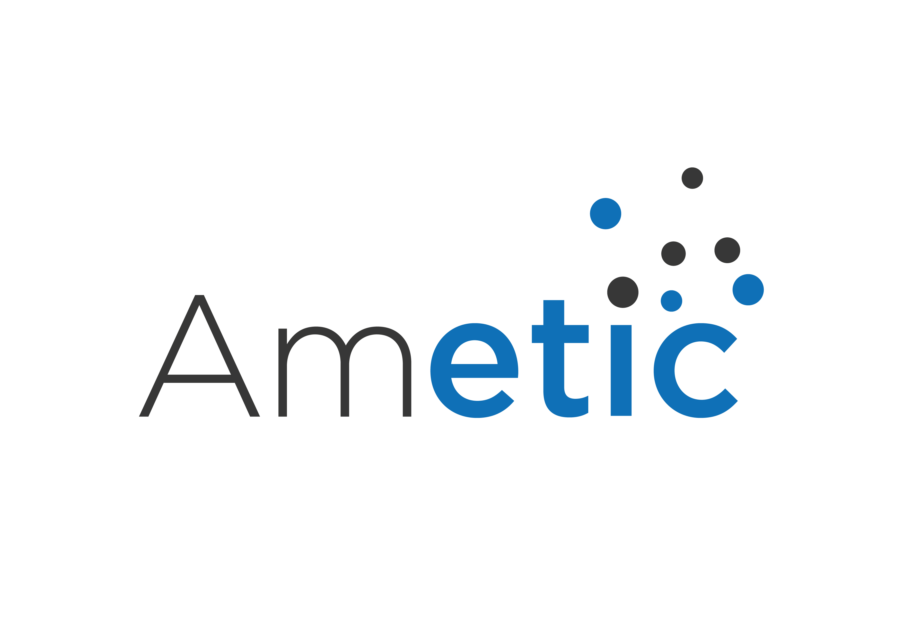 AMETIC se renueva para garantizar su continuidad