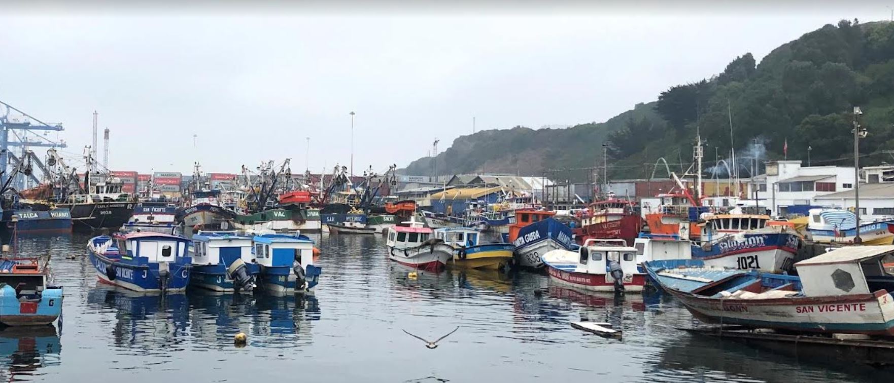 Así es la solución VMS de Satlink para capturas pesqueras en Chile