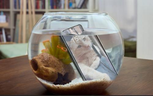 Honor lanza el nuevo Magic8 Lite, su nuevo todoterreno de gama media