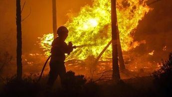 Una de las posibles soluciones para alertar de incendios y catástrofes, Welppy