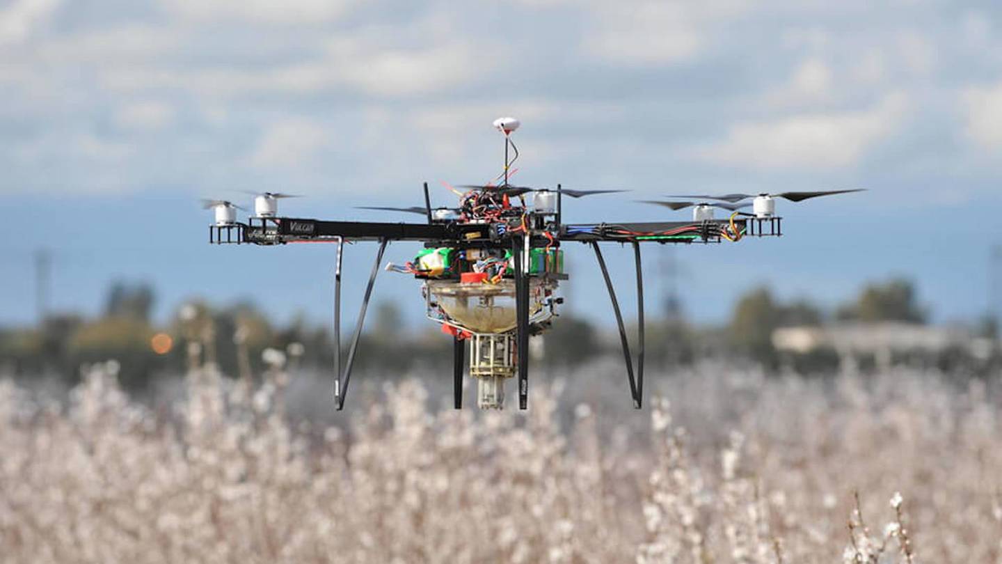 Los drones, la alternativa tecnológica para la polinización si las abejas faltan