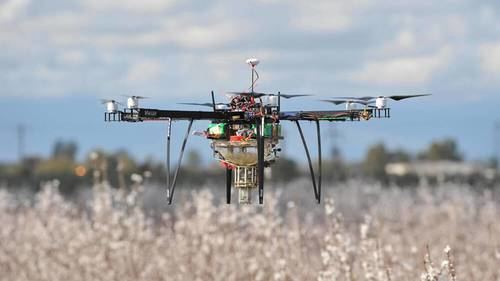 Los drones, la alternativa tecnológica para la polinización si las abejas faltan