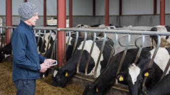 Eurona refuerza su apuesta por Irlanda con un proyecto para conectar granjas