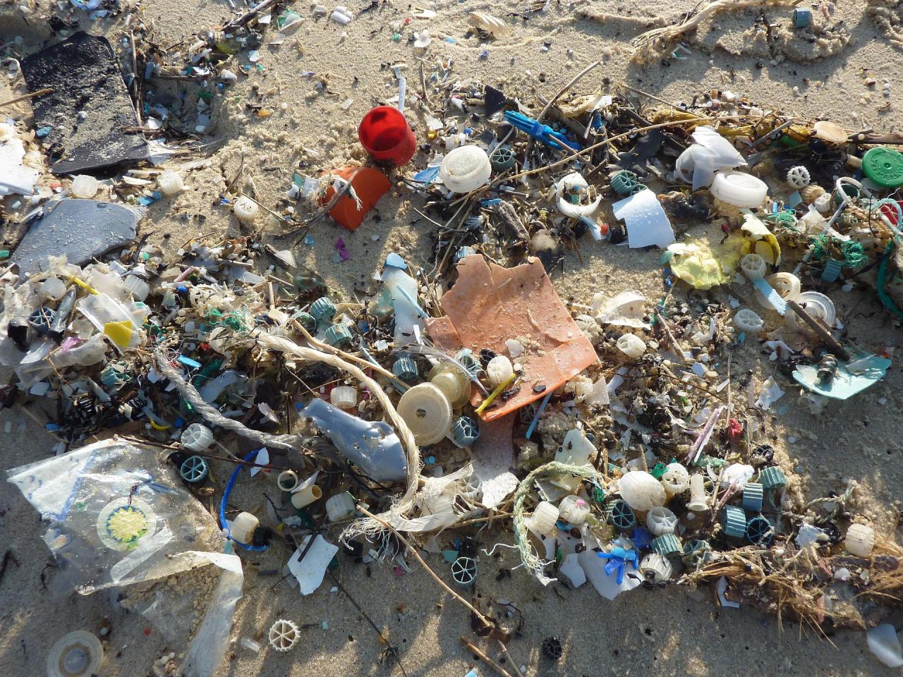 Fujitsu lucha contra la contaminación oceánica