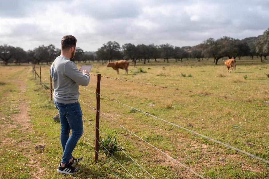 Ventum Technology Innovation to Improve Livestock Production and Save Costs