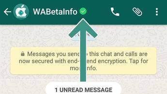 Los perfiles verificados llegan a WhatsApp