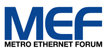 GEN14: La convención de proveedores de Ethernet