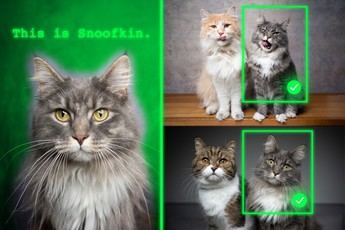 MIT desarrolla un nuevo método para mejorar la capacidad de IA para localizar objetos personalizados en imágenes