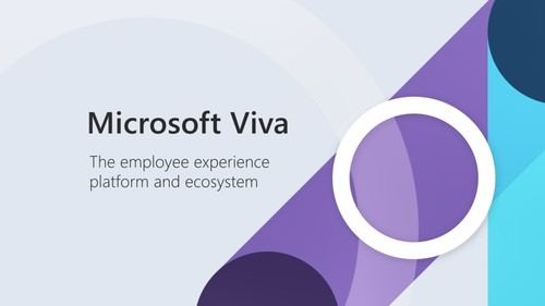 Microsoft lanza Viva, una plataforma integral para el teletrabajo