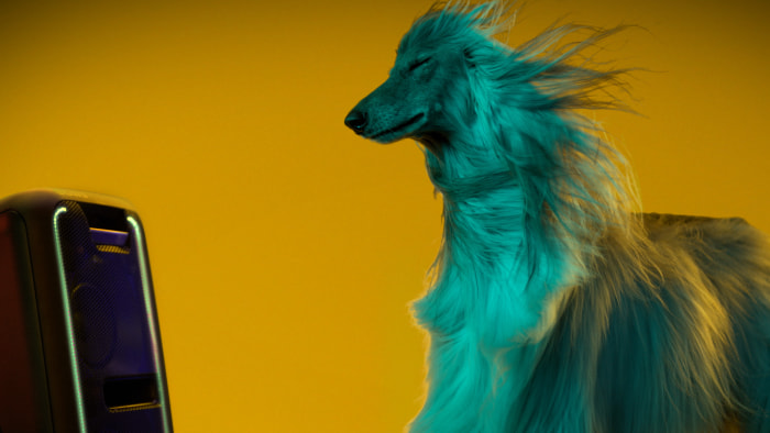 Experimento: los perros prefieren Beyoncé a Beethoven