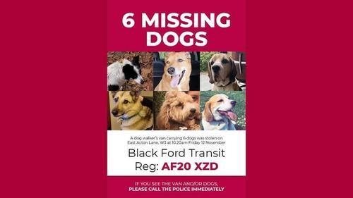 La tecnología FordPass rescata a seis mascotas de sus secuestradores