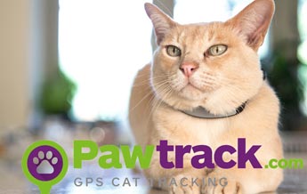 Pawtrack, collar GPS para gatos