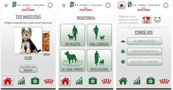 Petsonal Trainer: la app que mantendrá a tu mascota en forma