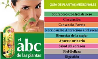 El Abc de las plantas medicinales
