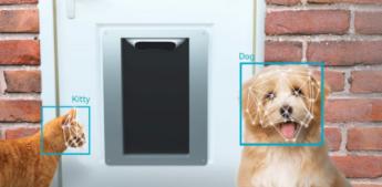 Así funciona la puerta inteligente para mascotas que utiliza reconocimiento facial para permitir o denegar su acceso