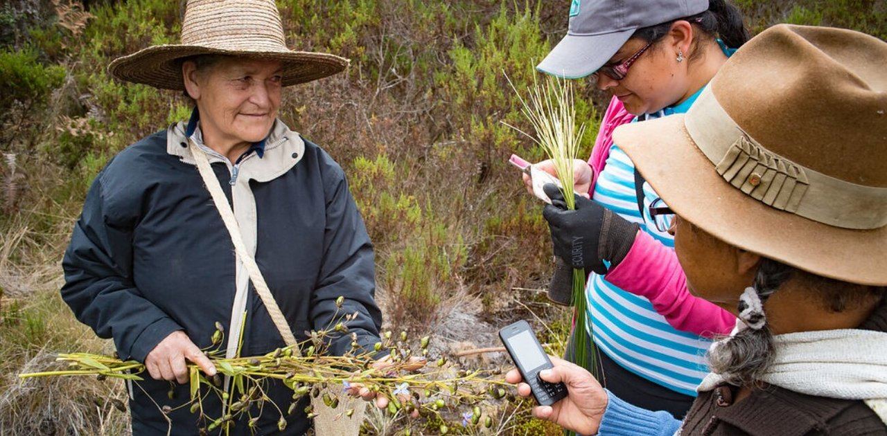 La digitalización de lo rural se agiliza con los operadores locales